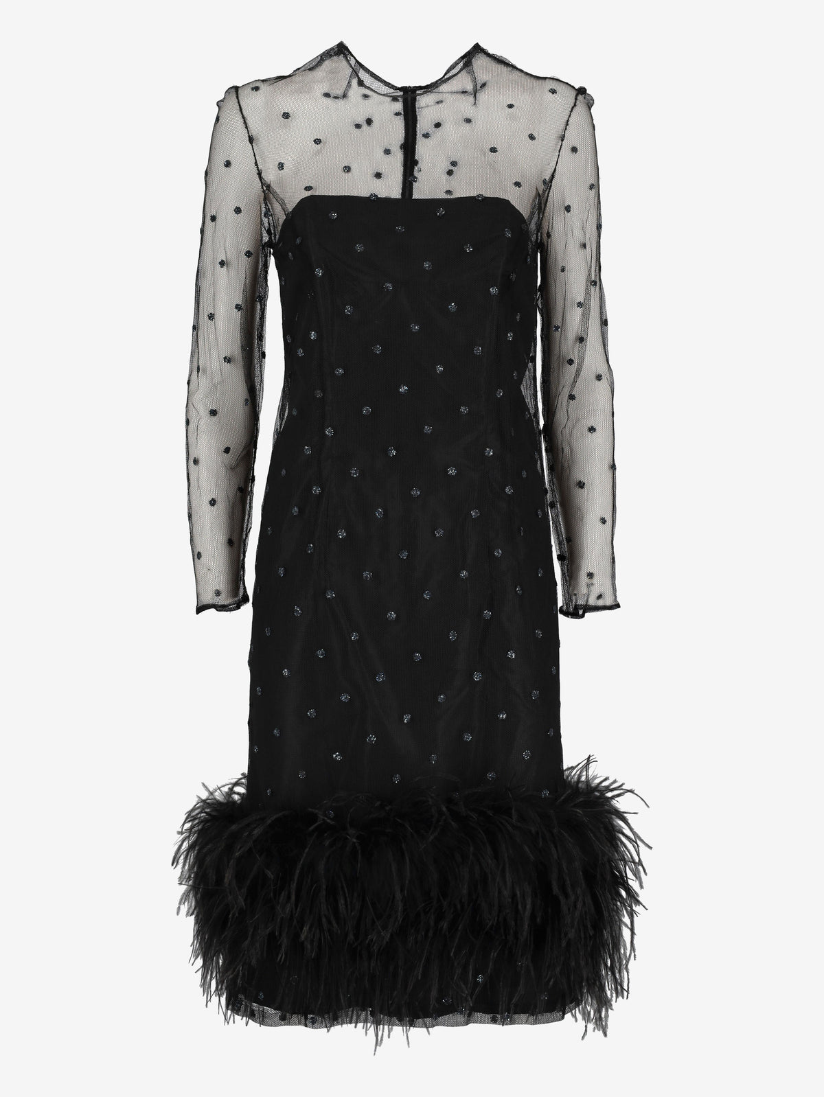 Sheer Dress with Glitter and Feather Details CVM24.19.12  Vintage 
