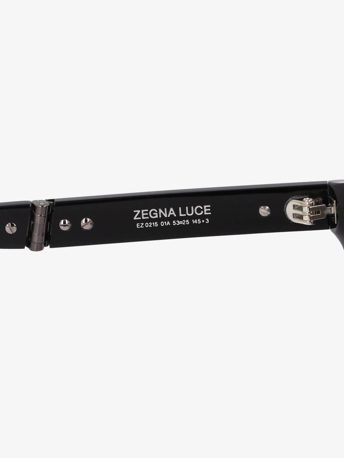 Zegna Foldable Sunglasses WCV161224_85  Zegna 